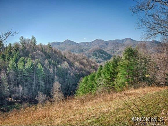 2404 PINEY HILL ROAD - Photo 6