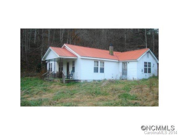 9670 NC HIGHWAY 209 - Photo 2