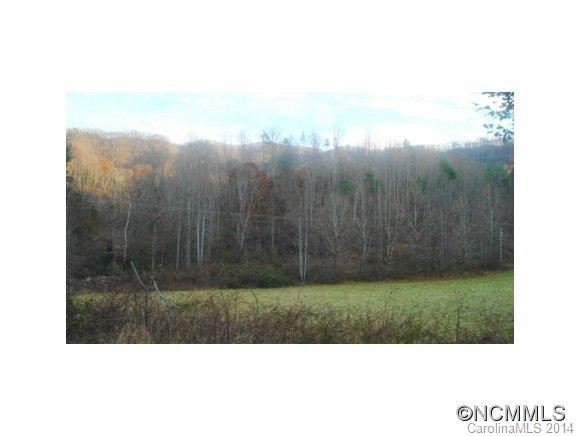 9670 NC HIGHWAY 209 - Photo 22