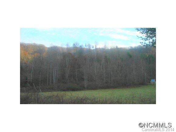 9670 NC HIGHWAY 209 - Photo 23