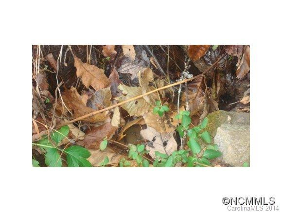 9670 NC HIGHWAY 209 - Photo 24