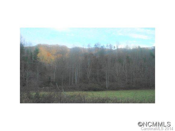 9670 NC HIGHWAY 209 - Photo 8