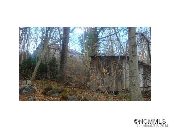9670 NC HIGHWAY 209 - Photo 9