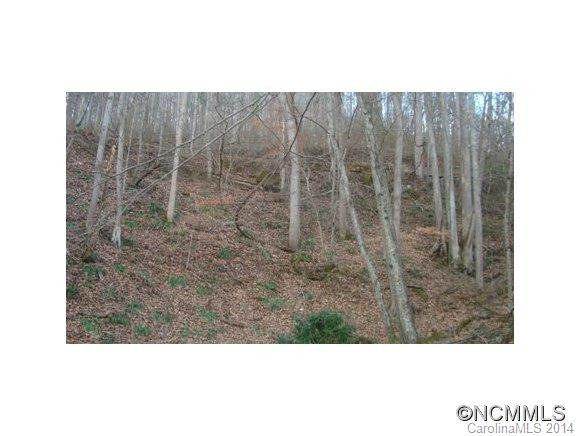 9670 NC HIGHWAY 209 - Photo 10