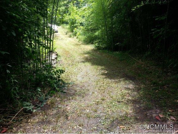 614 Case Cove Road - Photo 8