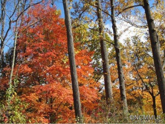 146 Gentry Farm Dr - Photo 20