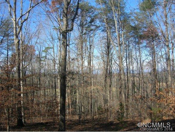 315 River Ridge Parkway - Photo 19