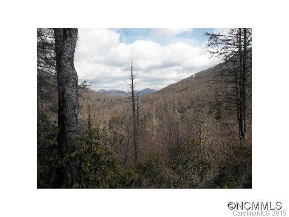 951 SPRUCE FLATS RD - Photo 10