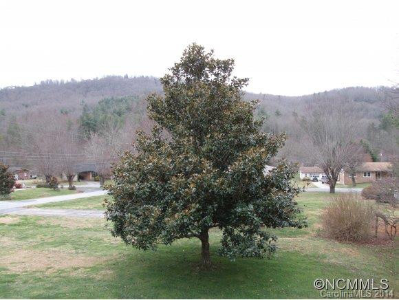 2508 Brevard Road - Photo 10