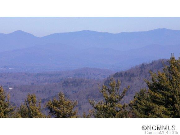 2347 Pisgah Forest Drive - Photo 2
