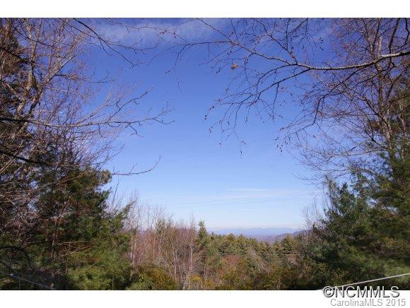 2347 Pisgah Forest Drive - Photo 24