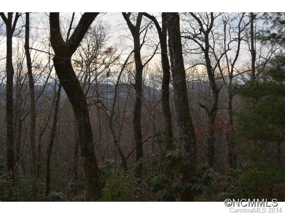 2109 Deep Woods Dr. - Photo 3