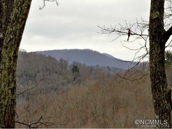 30 SNOW SHOE DRIVE - Photo 23