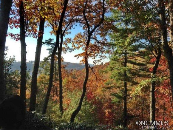 30 SNOW SHOE DRIVE - Photo 24