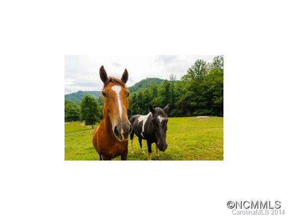 2216 Beans Creek Rd - Photo 16
