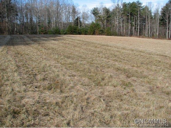1369 North Ridge Road - Photo 13