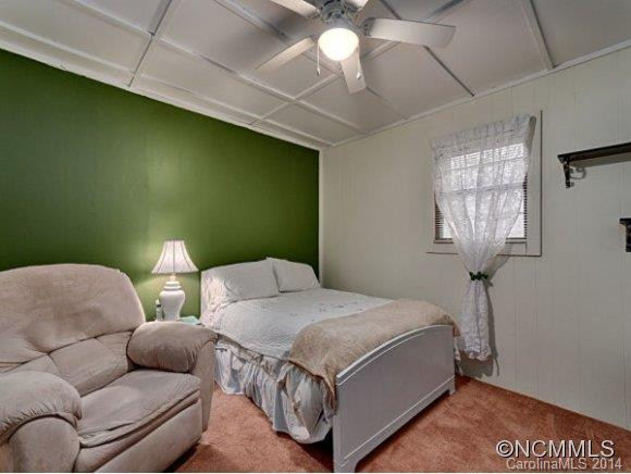 54 BUCK SPRING ACRES - Photo 15