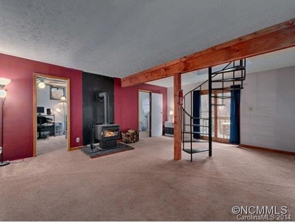 54 BUCK SPRING ACRES - Photo 16