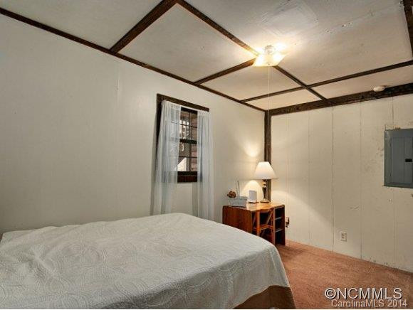 54 BUCK SPRING ACRES - Photo 19