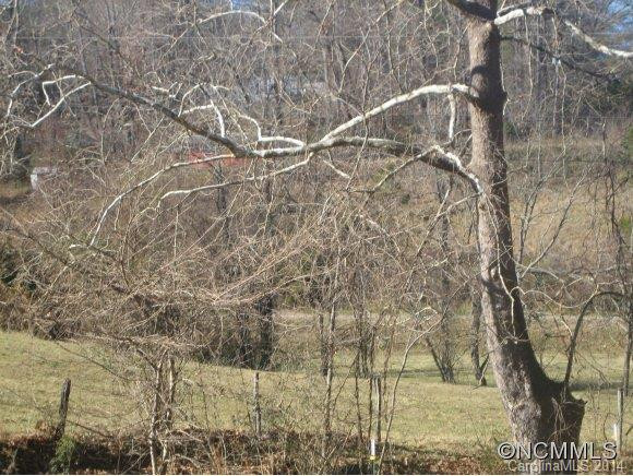 1054 Old Leicester Highway - Photo 2