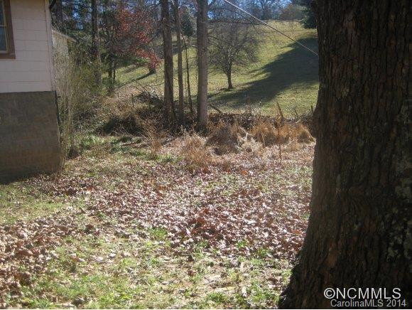 1054 Old Leicester Highway - Photo 20