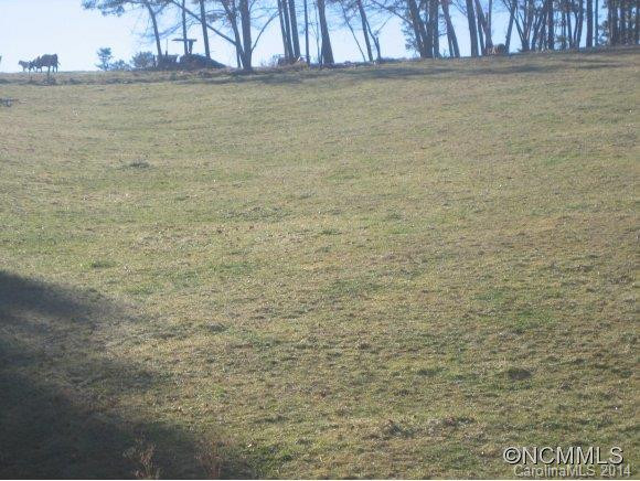1054 Old Leicester Highway - Photo 21