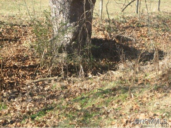 1054 Old Leicester Highway - Photo 22