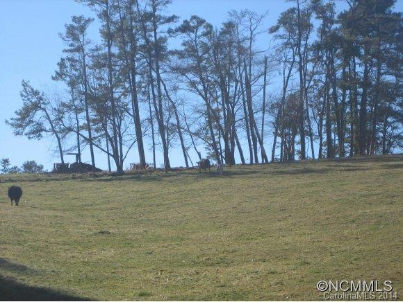 1054 Old Leicester Highway - Photo 4