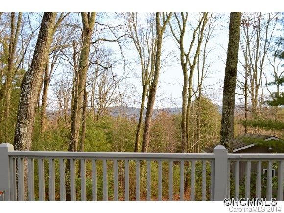 2 Thornapple - Photo 2