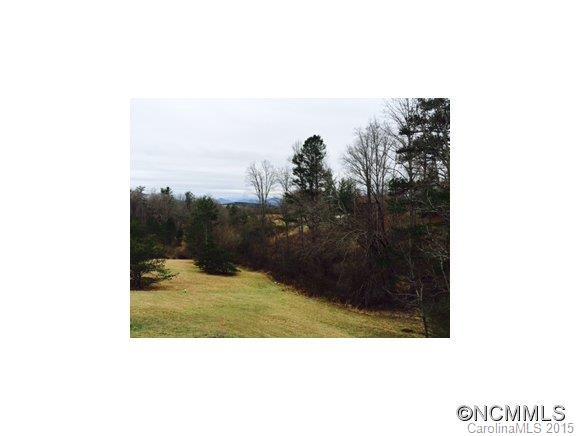 540 Panther Branch Rd - Photo 2