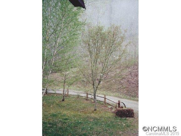 106 Ginseng Ridge - Photo 16