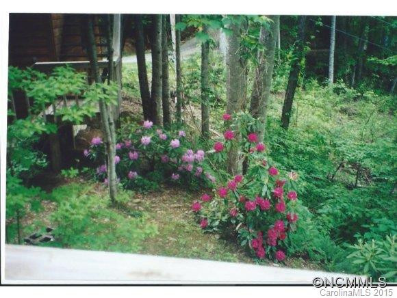 106 Ginseng Ridge - Photo 17