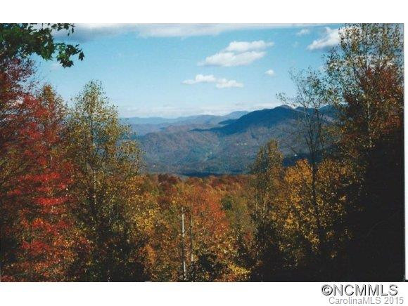 106 Ginseng Ridge - Photo 20