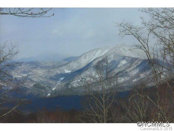 106 Ginseng Ridge - Photo 21