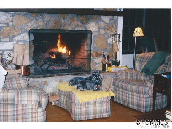 106 Ginseng Ridge - Photo 6