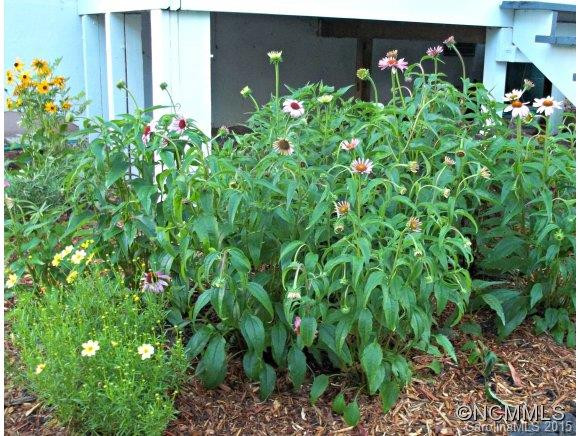 211 Big Pine Road - Photo 11