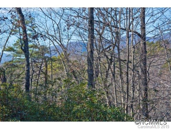 211 Happi Nest Lane - Photo 4