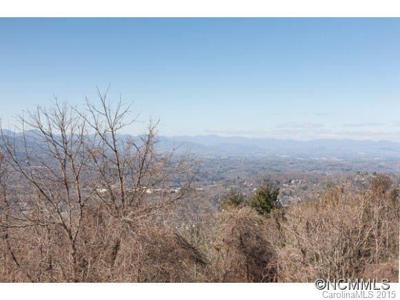 647 Town Mountain Road #411 - Photo 2