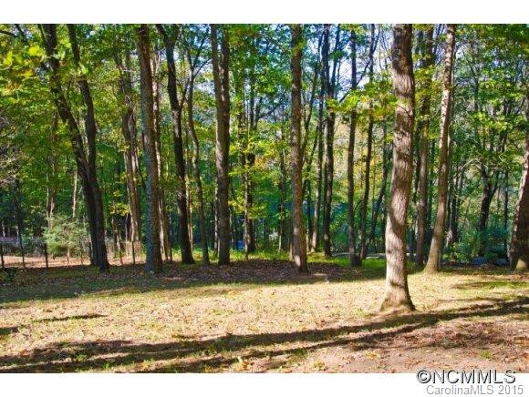 65 Mountain Site Lane - Photo 22