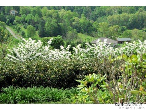 44 Broom Sage Run - Photo 17