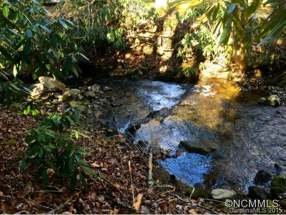2057 Pisgah Highway - Photo 2