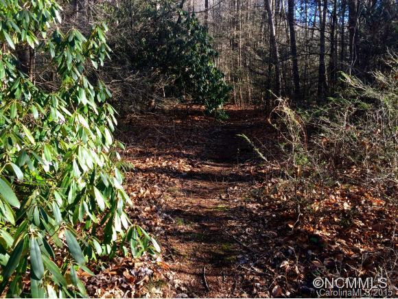 2057 Pisgah Highway - Photo 21