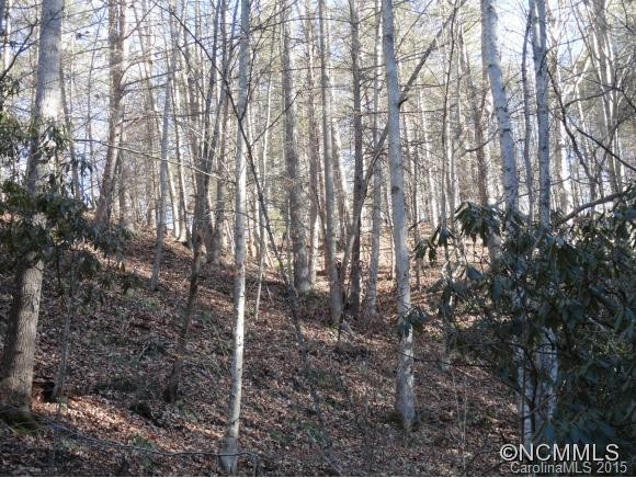 177 Piney Hill Road - Photo 5
