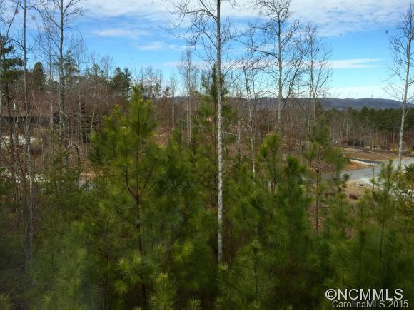 19 Dunn Trail - Photo 6