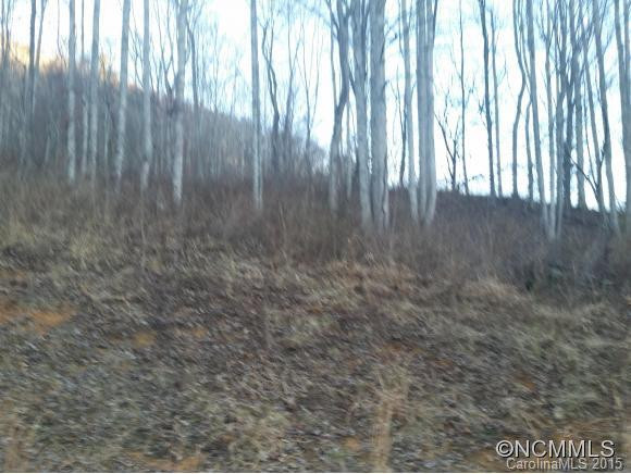 2115 Kims Cove Road - Photo 16