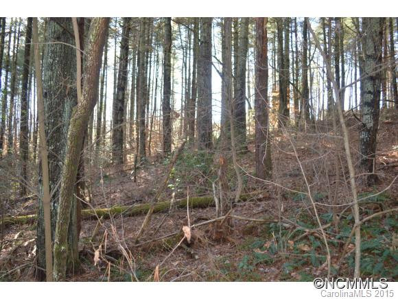 2085 Cane Creek Road - Photo 23