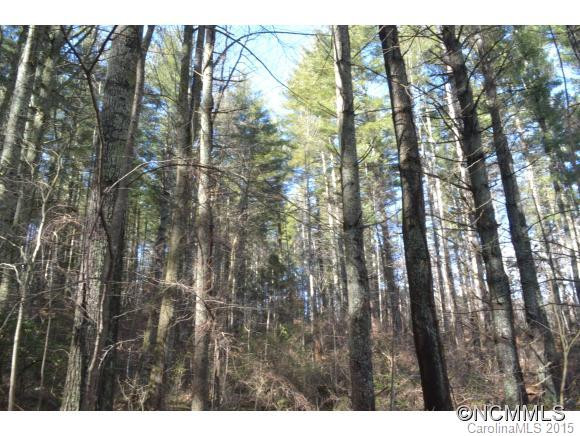 2085 Cane Creek Road - Photo 24