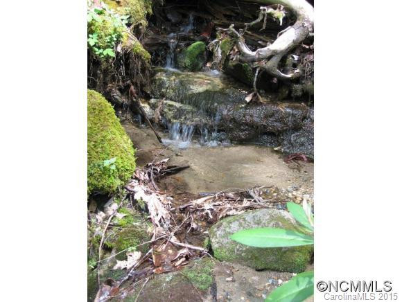 254 Dominion Rd - Photo 12