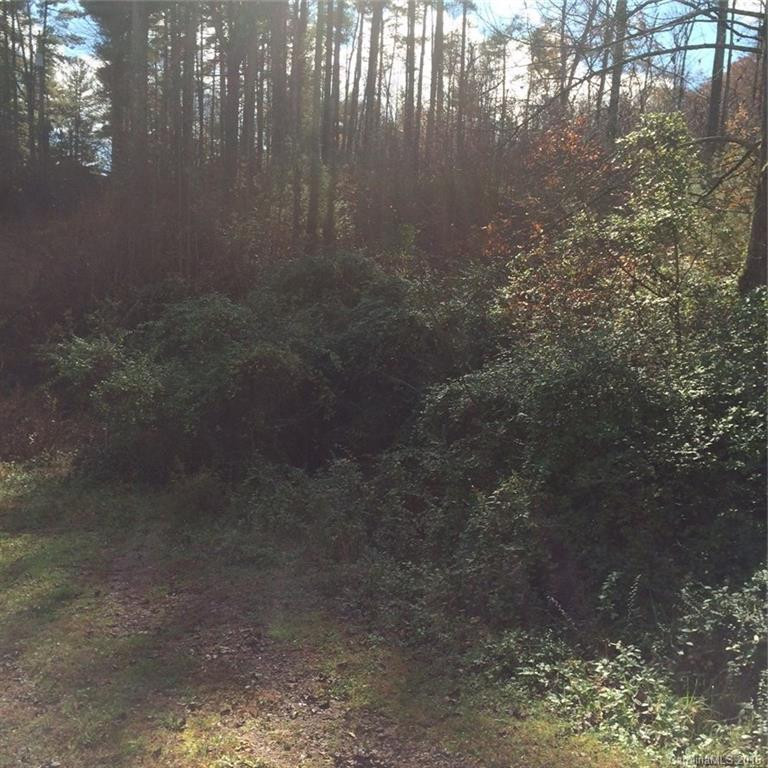 352 Misty Mountain Drive - Photo 4