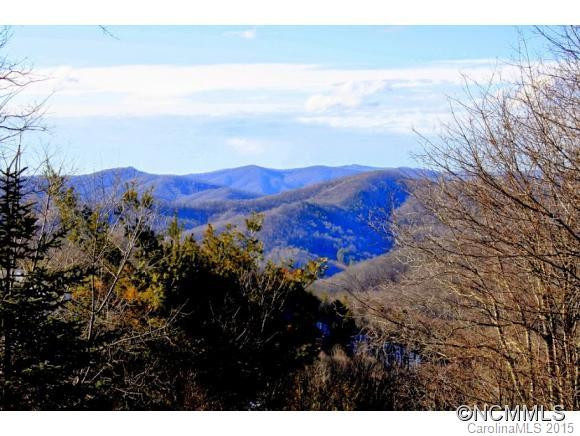 275 Sarvis Lane #468+ - Photo 4